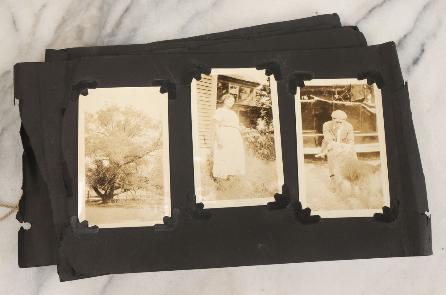 Lot 010 - Antique Vernacular Snapshot Photo Album With 90+ Photographs Circa 1910-1920, Including Baseball Player, Woman Posing With Flag, Bartenders, Many Dogs And Pets, And More