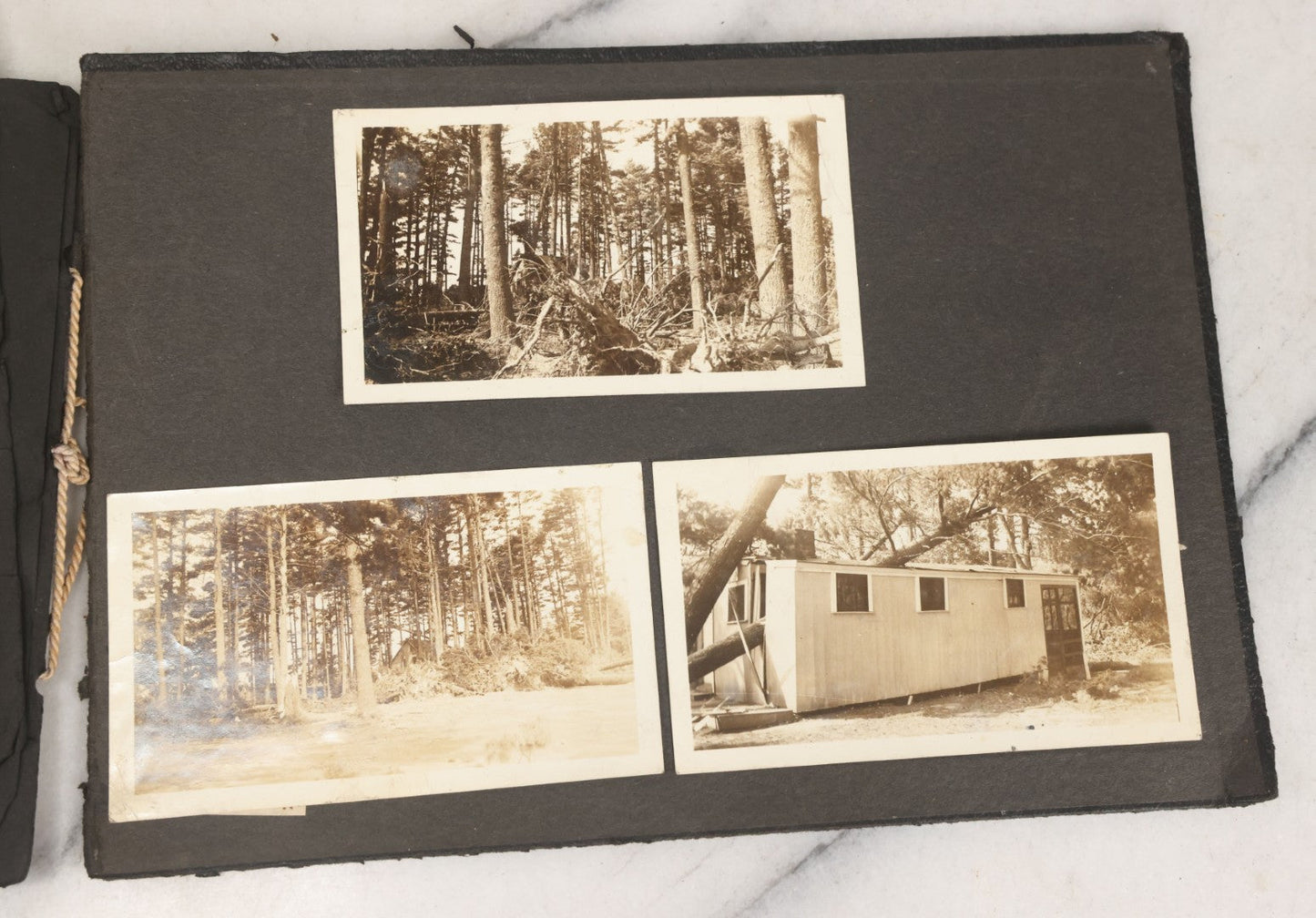 Lot 010 - Antique Vernacular Snapshot Photo Album With 90+ Photographs Circa 1910-1920, Including Baseball Player, Woman Posing With Flag, Bartenders, Many Dogs And Pets, And More