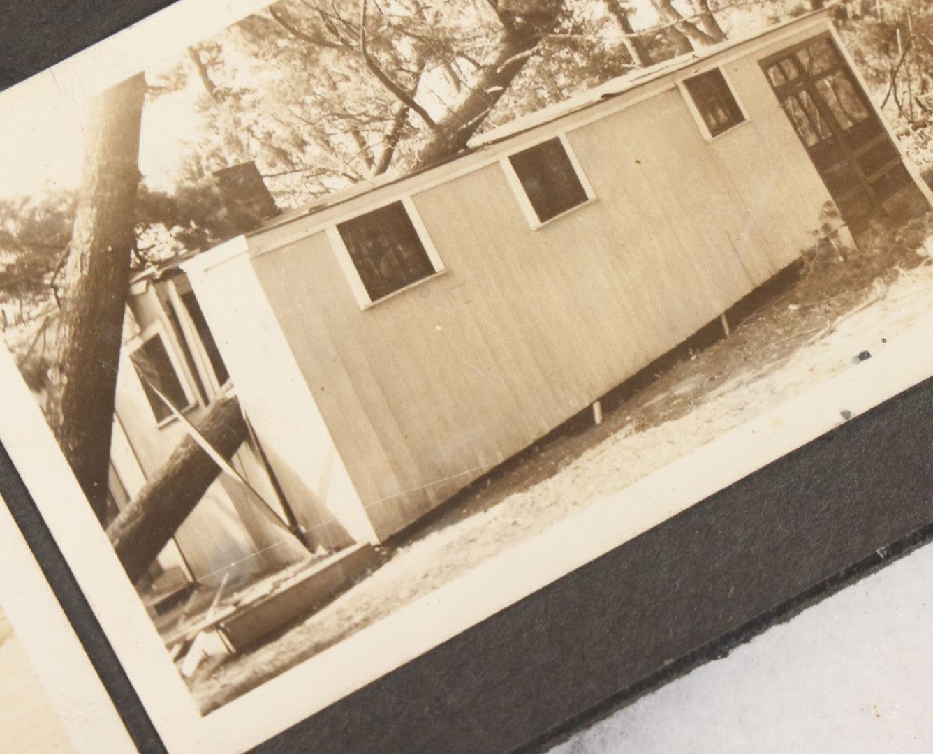 Lot 010 - Antique Vernacular Snapshot Photo Album With 90+ Photographs Circa 1910-1920, Including Baseball Player, Woman Posing With Flag, Bartenders, Many Dogs And Pets, And More