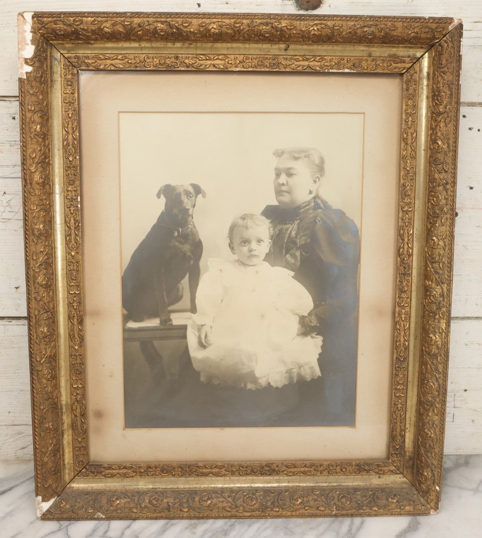 Lot 011 - Antique Framed Portrait Photo Of Mother Child And Their Mixed Breed Terrier Dog In Gilded Molded Gesso Frame, 20-3/8" x 24-1/4"