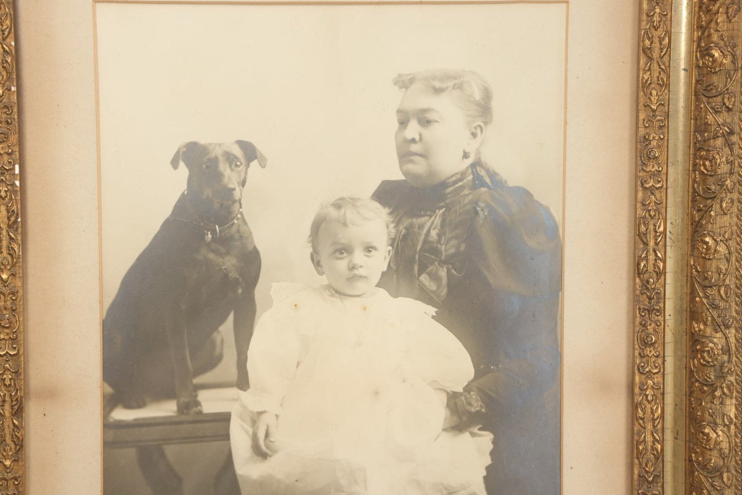 Lot 011 - Antique Framed Portrait Photo Of Mother Child And Their Mixed Breed Terrier Dog In Gilded Molded Gesso Frame, 20-3/8" x 24-1/4"
