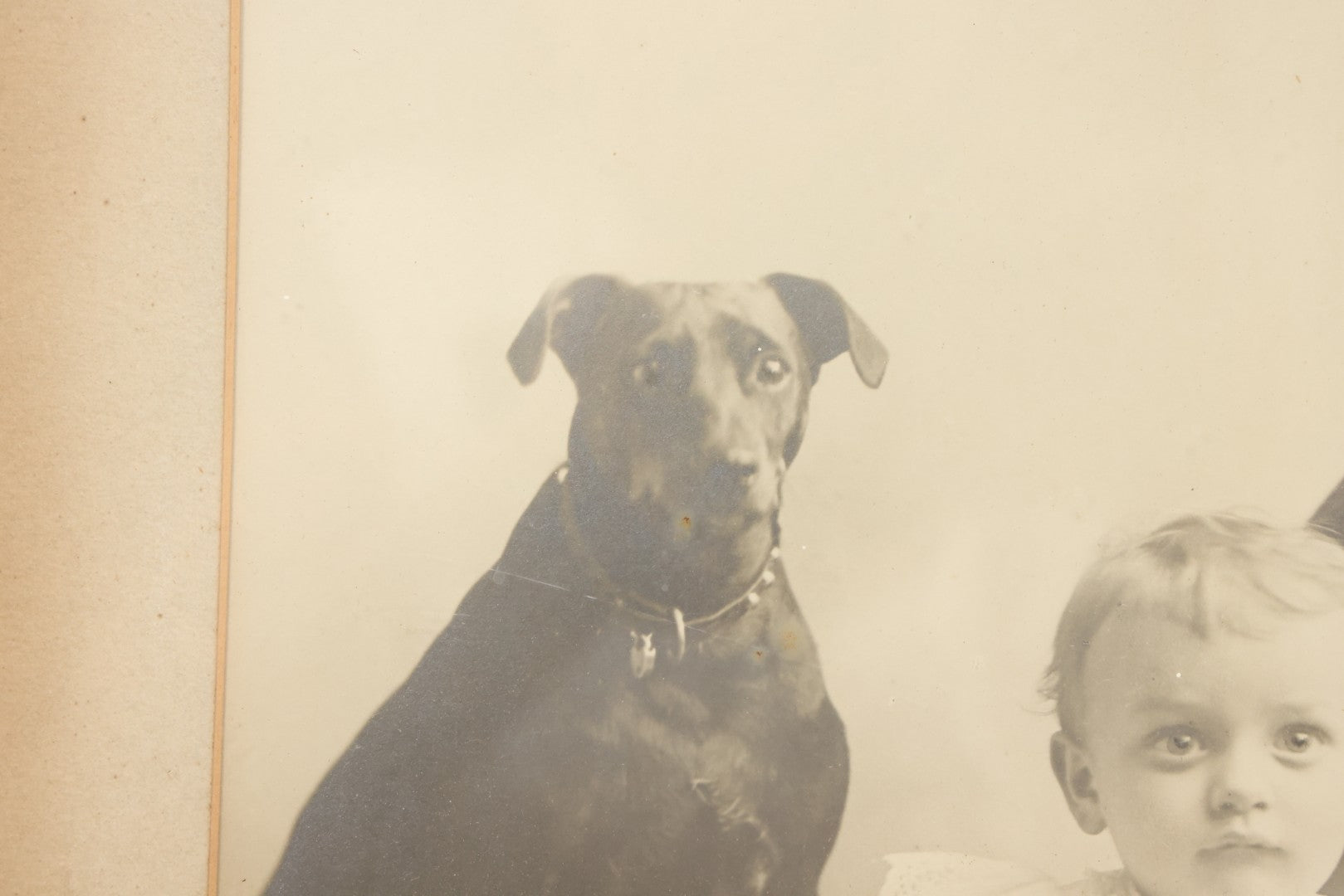 Lot 011 - Antique Framed Portrait Photo Of Mother Child And Their Mixed Breed Terrier Dog In Gilded Molded Gesso Frame, 20-3/8" x 24-1/4"