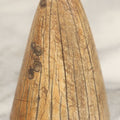 Lot 024 - Genuine Antique Whale Scrimshaw Tip Fragment Paperweight With Smoothed Bottom, Original Surface