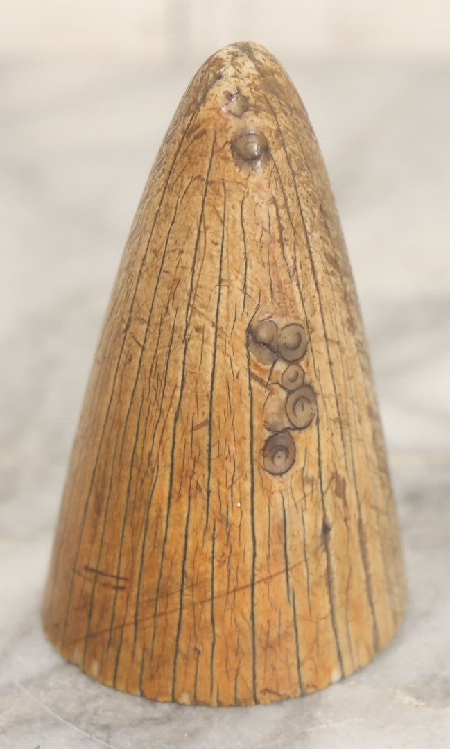 Lot 024 - Genuine Antique Whale Scrimshaw Tip Fragment Paperweight With Smoothed Bottom, Original Surface