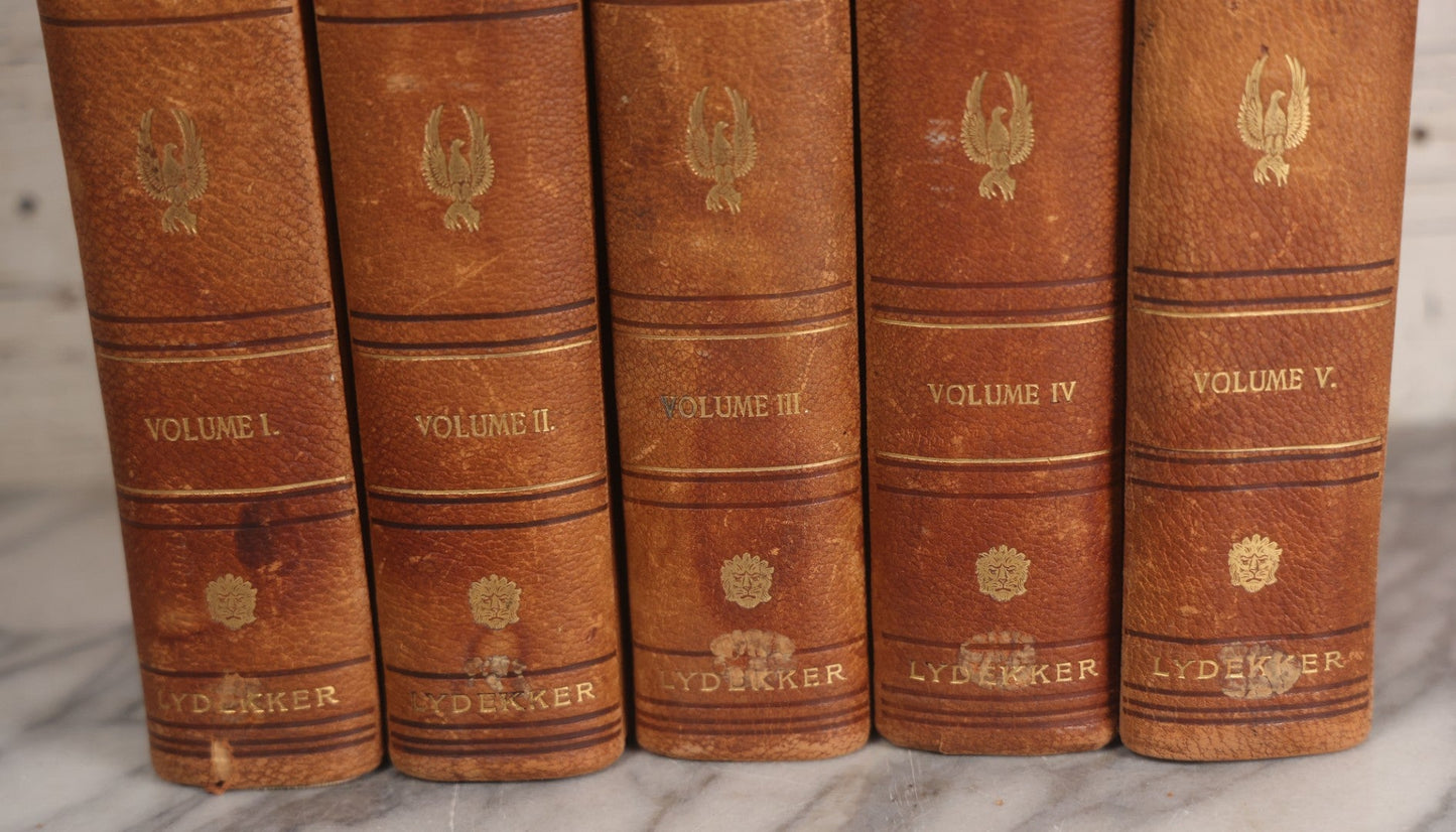 Lot 001 - "Library Of Natural History" Five Volume Antique Book Set Edited By Richard Lydekker Profusely Illustrated With Colored Plates And Two Thousand Engravings Across The Volumes, The Saalfield Publishing Company, New York, Akron, And Chicago, 1904