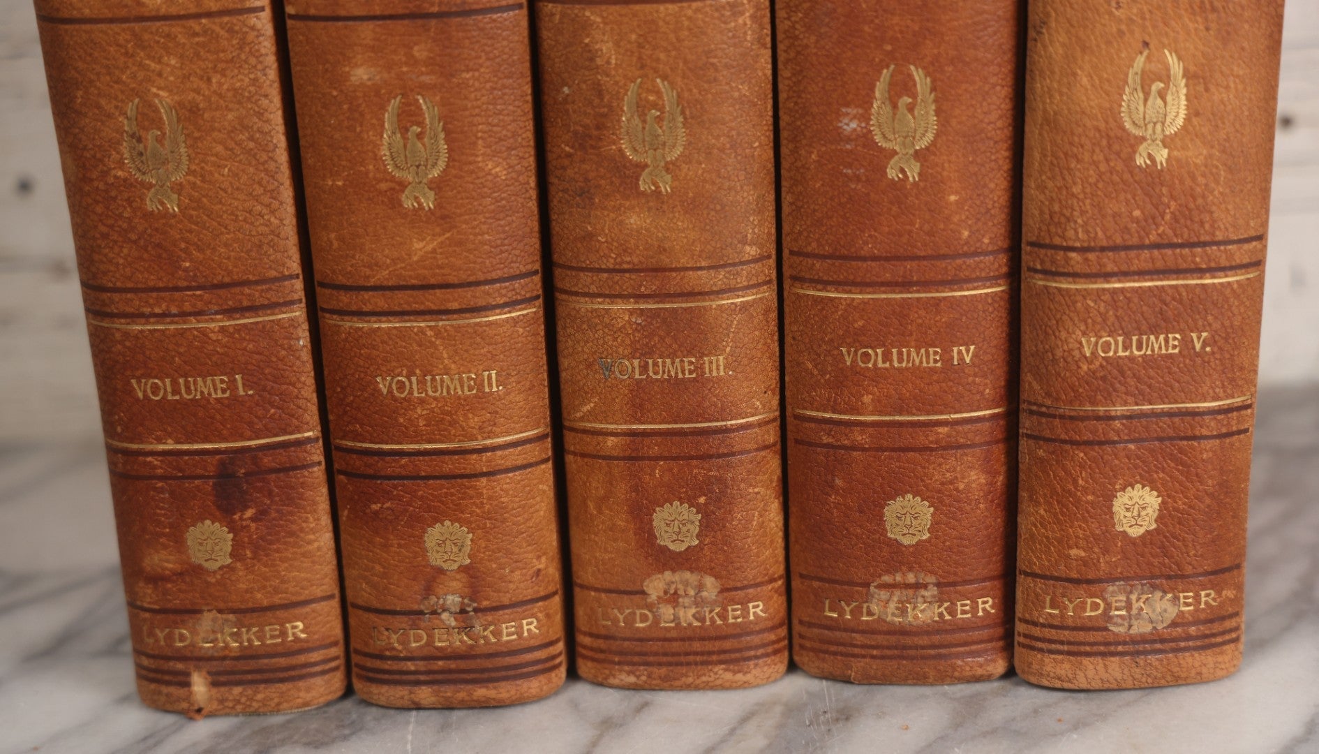 Lot 001 - "Library Of Natural History" Five Volume Antique Book Set Edited By Richard Lydekker Profusely Illustrated With Colored Plates And Two Thousand Engravings Across The Volumes, The Saalfield Publishing Company, New York, Akron, And Chicago, 1904