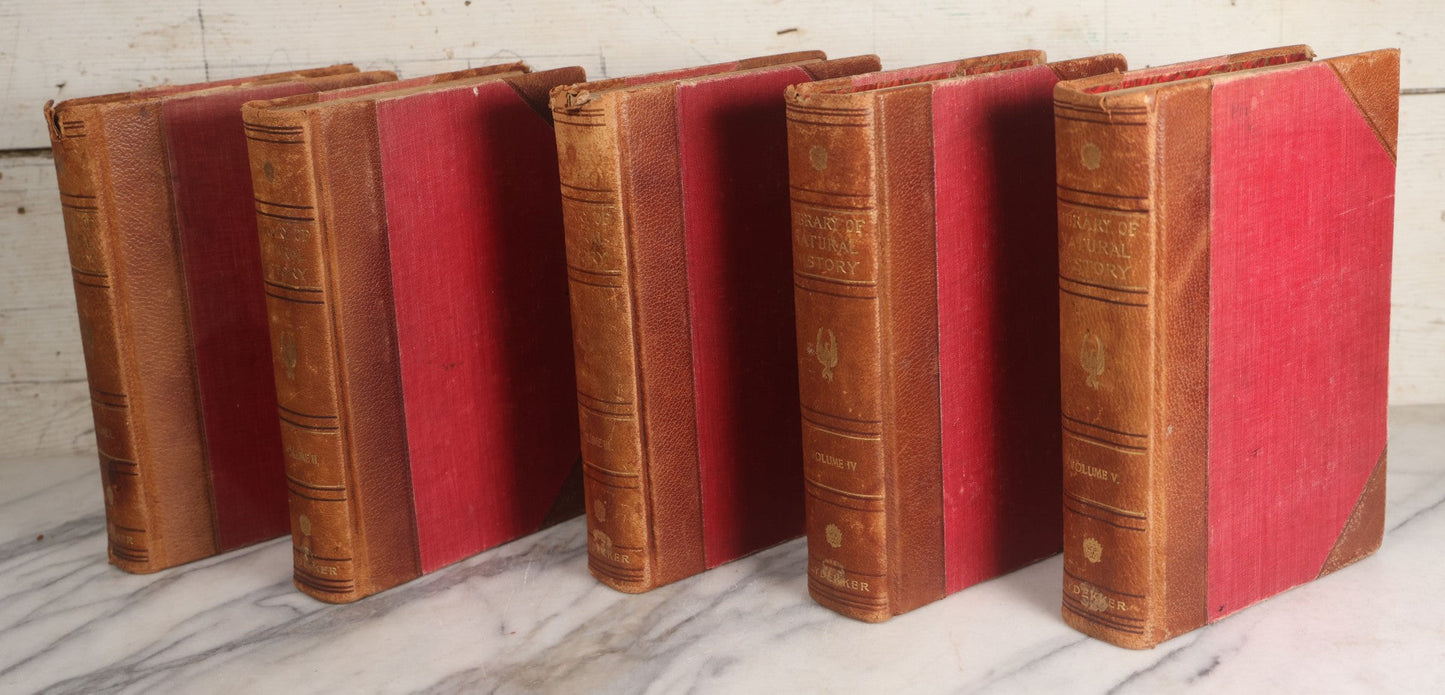Lot 001 - "Library Of Natural History" Five Volume Antique Book Set Edited By Richard Lydekker Profusely Illustrated With Colored Plates And Two Thousand Engravings Across The Volumes, The Saalfield Publishing Company, New York, Akron, And Chicago, 1904