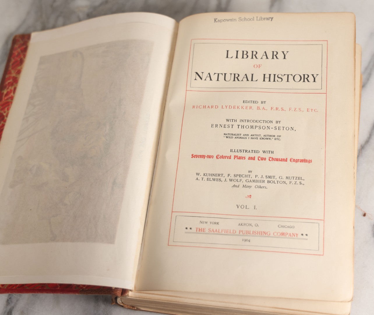 Lot 001 - "Library Of Natural History" Five Volume Antique Book Set Edited By Richard Lydekker Profusely Illustrated With Colored Plates And Two Thousand Engravings Across The Volumes, The Saalfield Publishing Company, New York, Akron, And Chicago, 1904