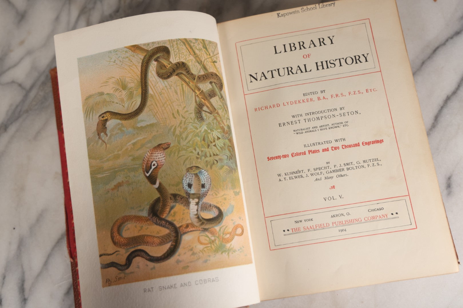 Lot 001 - "Library Of Natural History" Five Volume Antique Book Set Edited By Richard Lydekker Profusely Illustrated With Colored Plates And Two Thousand Engravings Across The Volumes, The Saalfield Publishing Company, New York, Akron, And Chicago, 1904