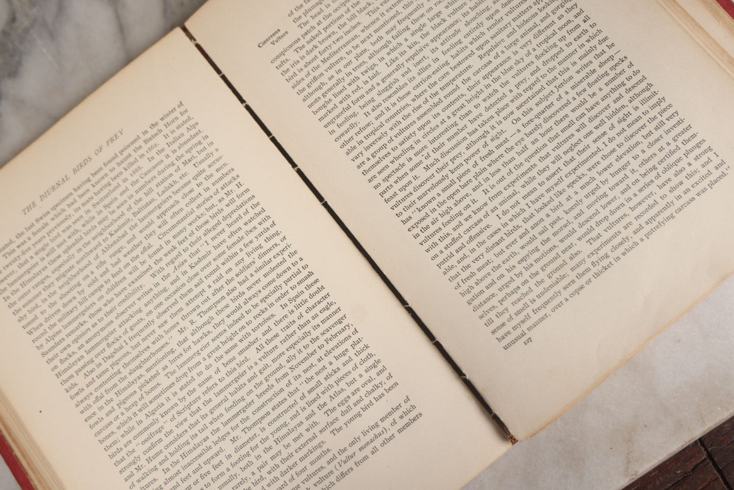 Lot 001 - "Library Of Natural History" Five Volume Antique Book Set Edited By Richard Lydekker Profusely Illustrated With Colored Plates And Two Thousand Engravings Across The Volumes, The Saalfield Publishing Company, New York, Akron, And Chicago, 1904