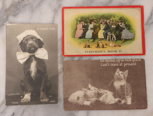 Lot 108 - Grouping Of Three Antique Postcards Of Pets Including "A Canine Flirt", Three Kittens, And Comic Postcard Of Everybody Kissing: "Everybody's Doing It"