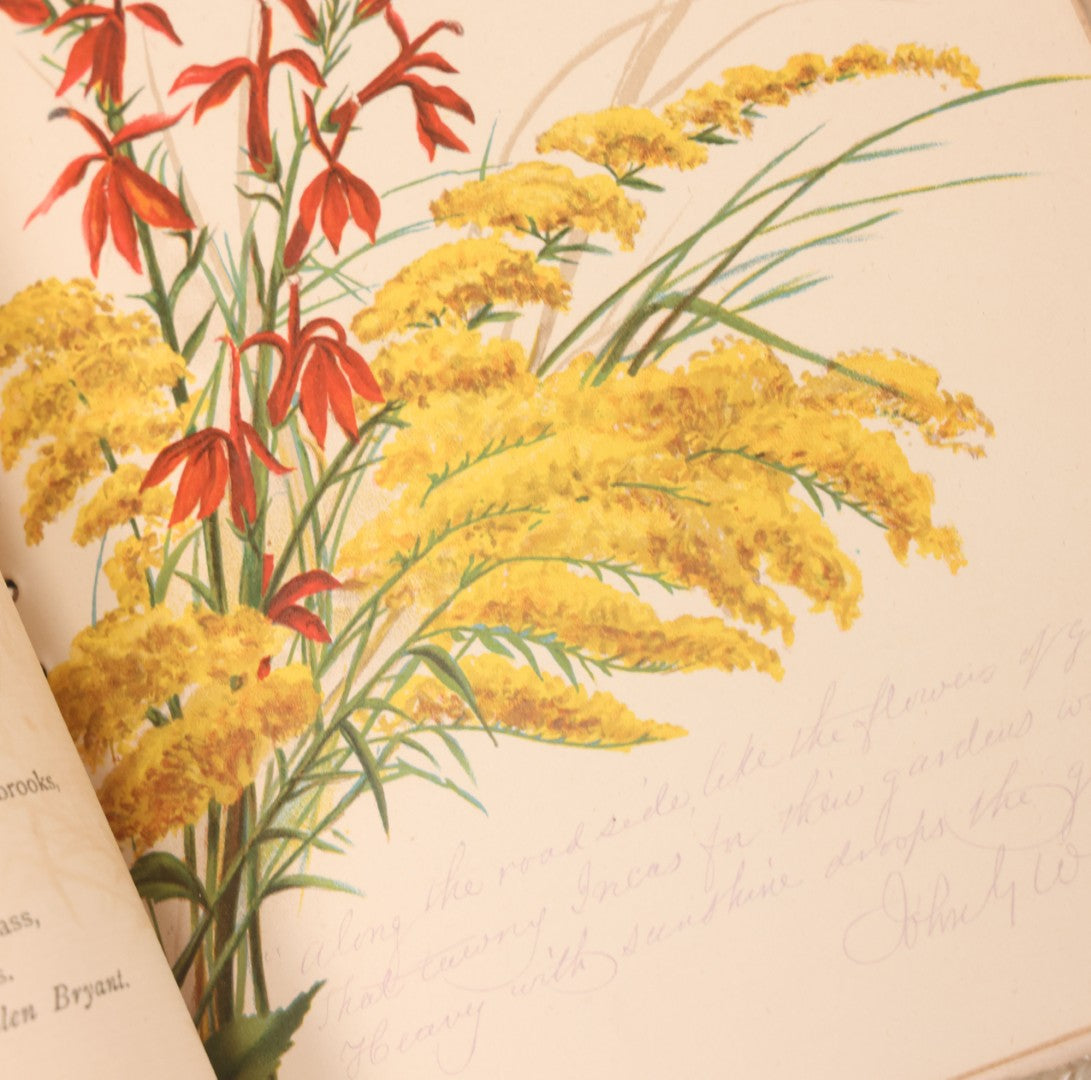 Lot 117 - Four Piece Antique Lithographed Ephemera Grouping With Fuzzy Fringe Including "Maple Leaves And Goldenrod" Illustrated Poetry Book And Three Christmas Cards