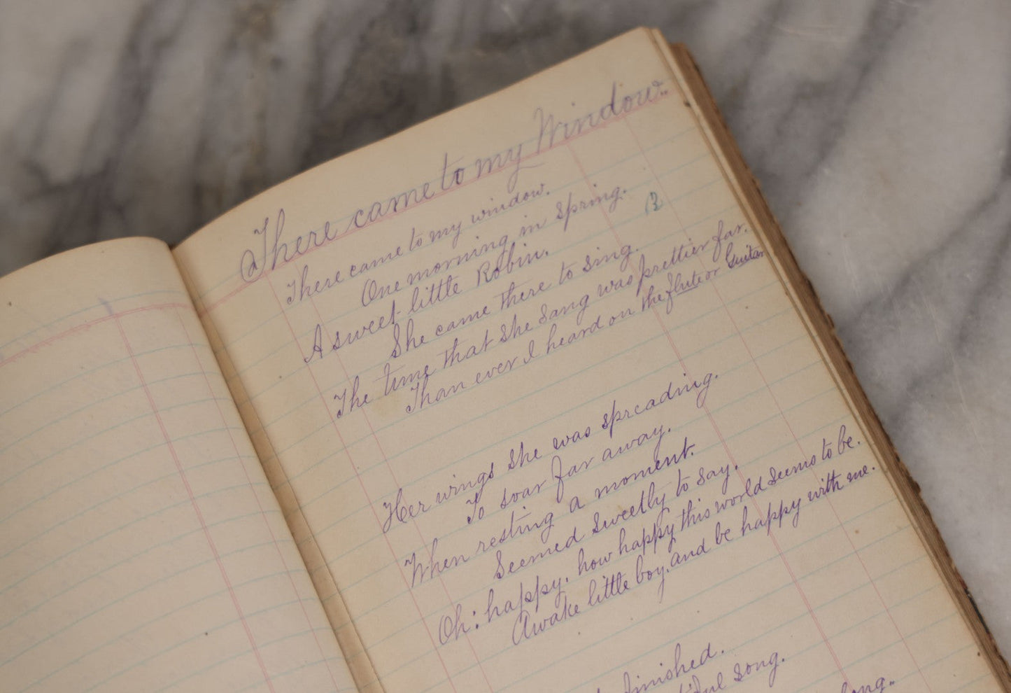 Lot 007 - Antique Expense Ledger Repurposed Into A Poetry Journal, Signed Edwin Davis Smithurst, Dated 1871, With Several Handwritten Poems And Notes And Tree Of Life Illustration, Swampscott, Massachusetts