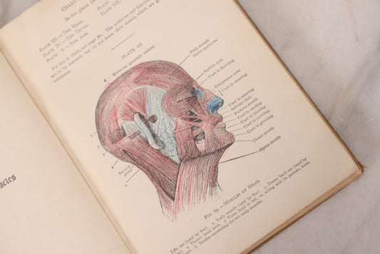 Lot 129 - "Lessons In Hygienic Physiology" Antique Illustrated Medical Book By Walter Moore Coleman, The Macmillan Company, Publisher, New York, 1914, Note Coloring And Pencil Marks Throughout, Many Illustrations Cut Out Of Book
