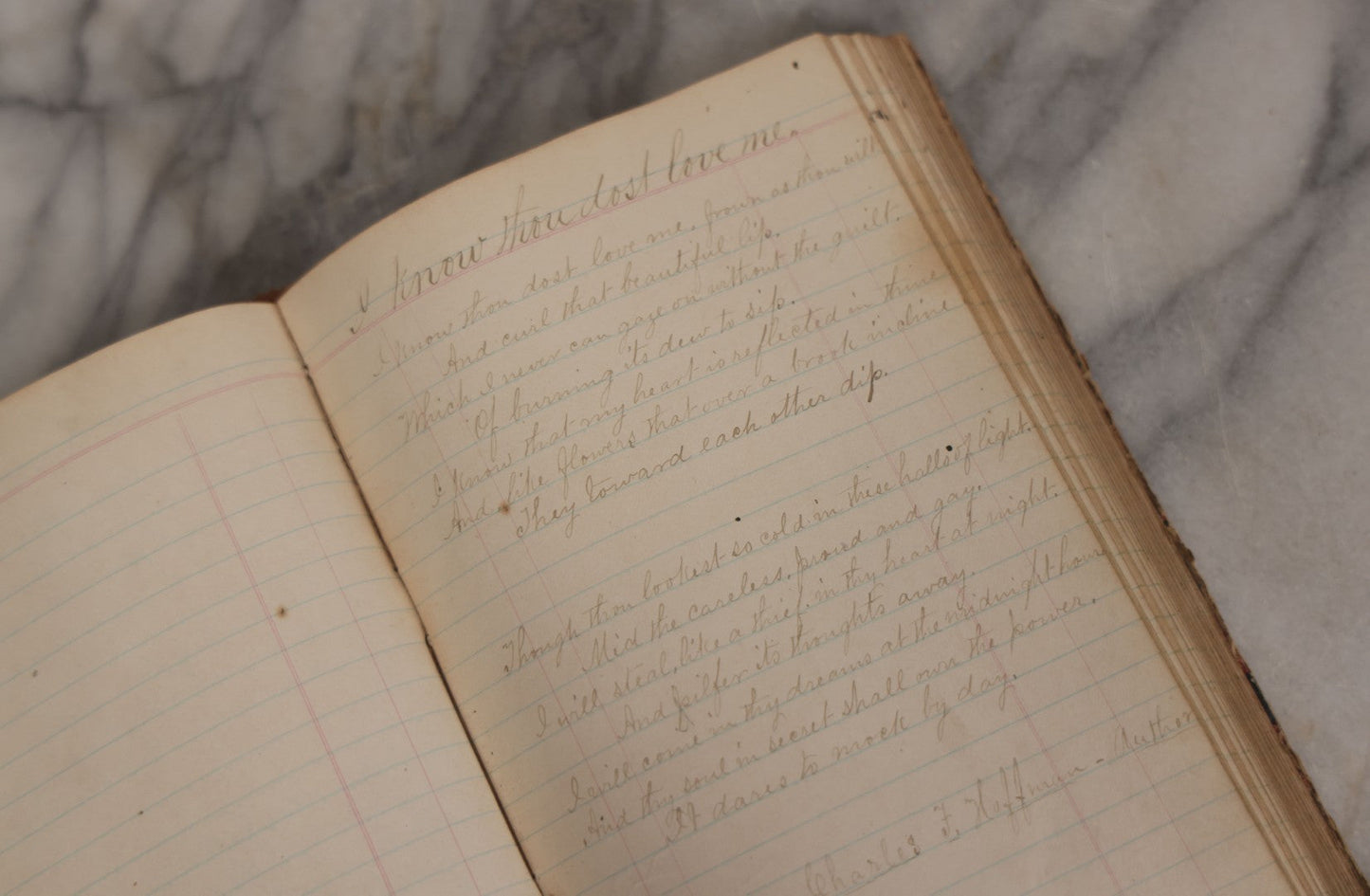 Lot 007 - Antique Expense Ledger Repurposed Into A Poetry Journal, Signed Edwin Davis Smithurst, Dated 1871, With Several Handwritten Poems And Notes And Tree Of Life Illustration, Swampscott, Massachusetts