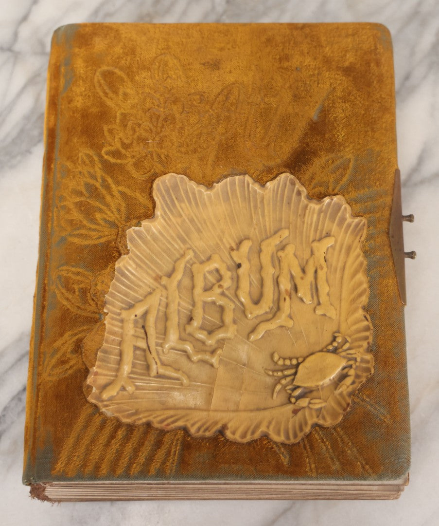 Lot 011 - Antique Victorian Photo Album With Yellow Velvet Cover, Celluloid Shell Decoration With Crab, Containing 28 Cabinet Card And Twelve C.D.V. Photographs, Including Co-Ed Class Photo, Little Girl Holding Bisque Doll, Note Binding Completely Shot