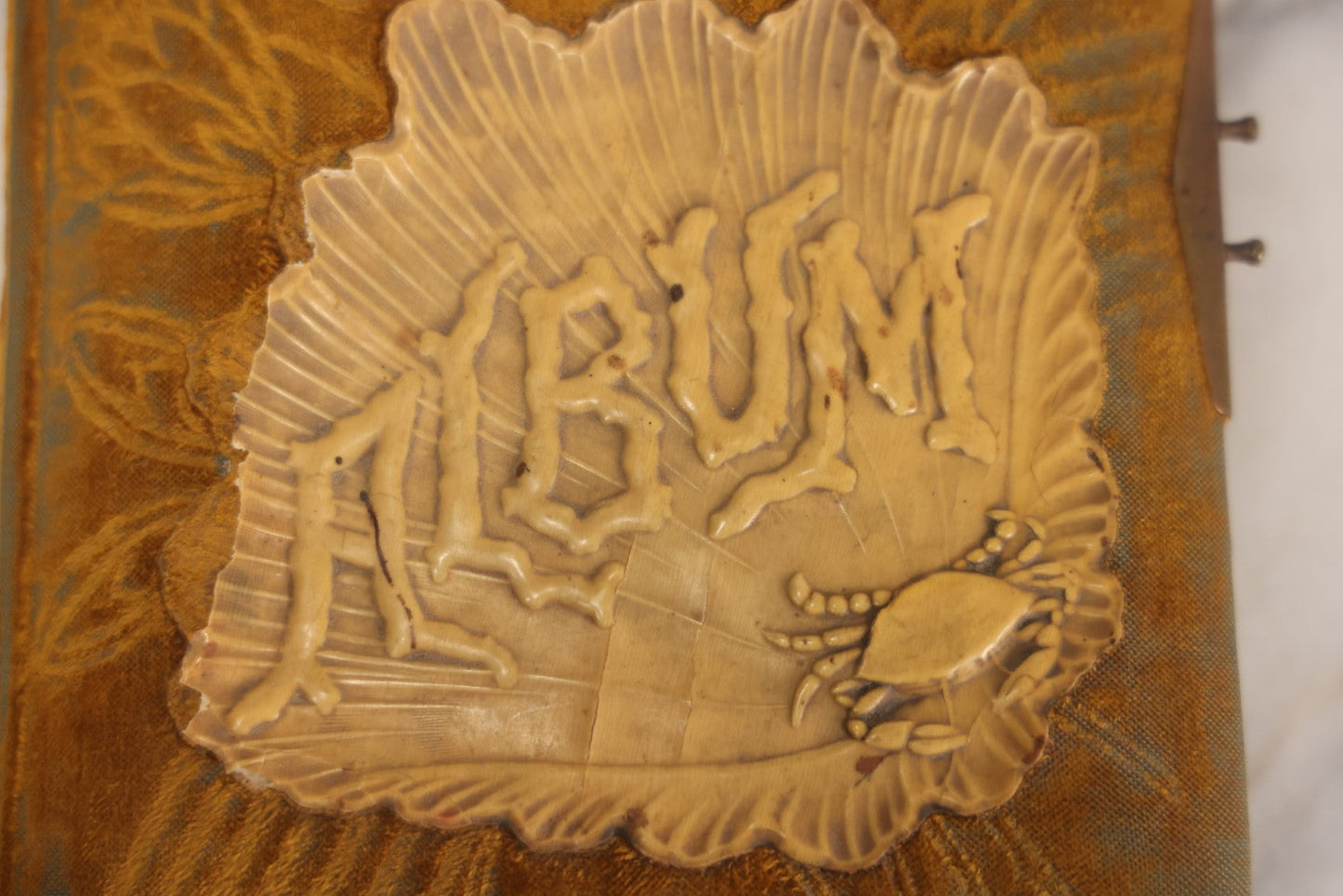 Lot 011 - Antique Victorian Photo Album With Yellow Velvet Cover, Celluloid Shell Decoration With Crab, Containing 28 Cabinet Card And Twelve C.D.V. Photographs, Including Co-Ed Class Photo, Little Girl Holding Bisque Doll, Note Binding Completely Shot