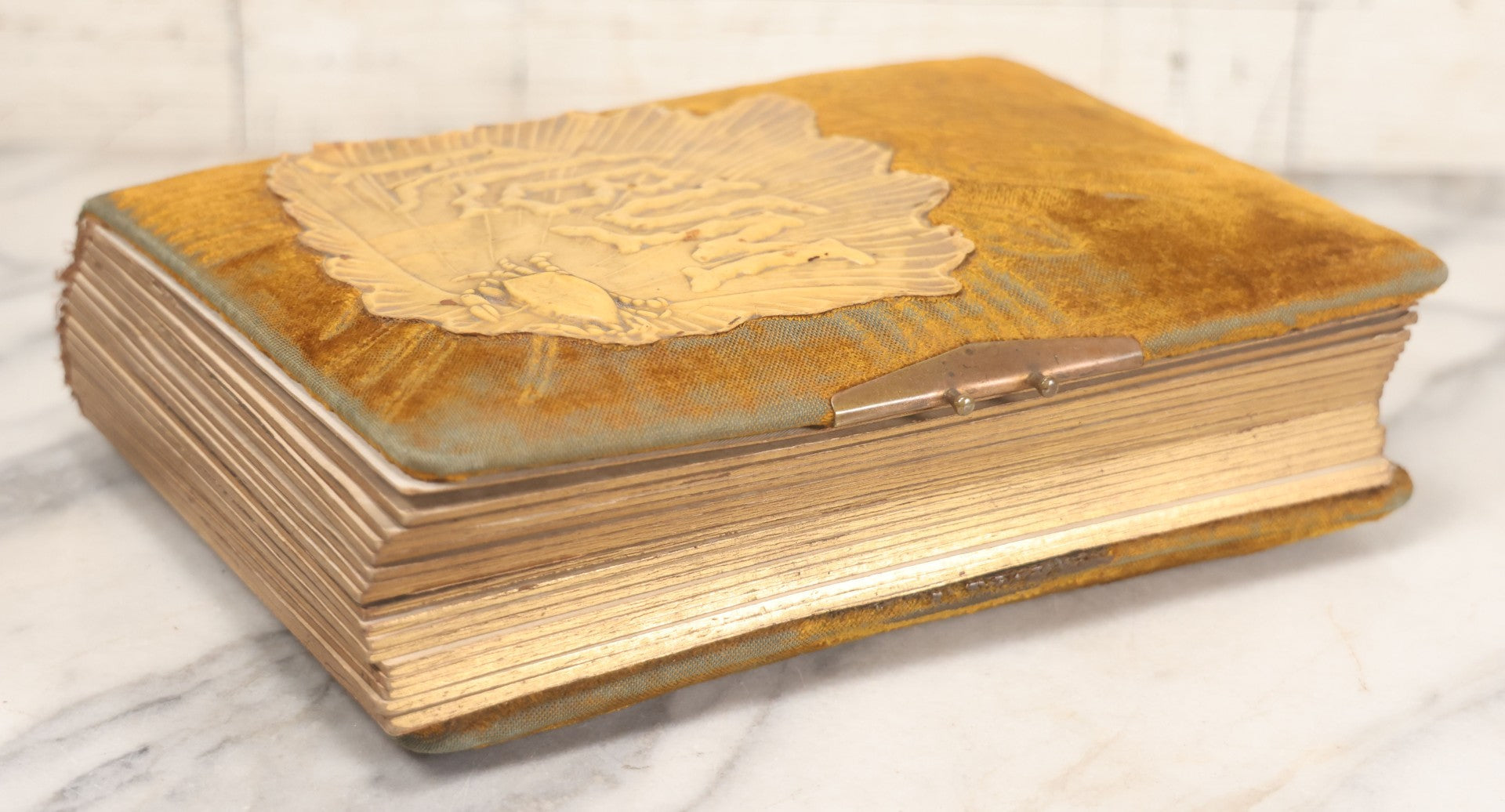 Lot 011 - Antique Victorian Photo Album With Yellow Velvet Cover, Celluloid Shell Decoration With Crab, Containing 28 Cabinet Card And Twelve C.D.V. Photographs, Including Co-Ed Class Photo, Little Girl Holding Bisque Doll, Note Binding Completely Shot