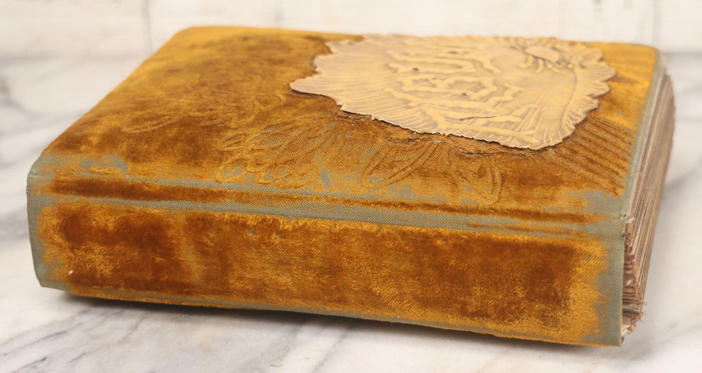Lot 011 - Antique Victorian Photo Album With Yellow Velvet Cover, Celluloid Shell Decoration With Crab, Containing 28 Cabinet Card And Twelve C.D.V. Photographs, Including Co-Ed Class Photo, Little Girl Holding Bisque Doll, Note Binding Completely Shot