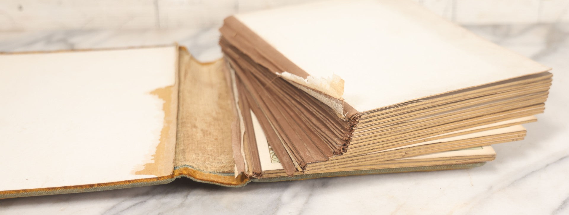 Lot 011 - Antique Victorian Photo Album With Yellow Velvet Cover, Celluloid Shell Decoration With Crab, Containing 28 Cabinet Card And Twelve C.D.V. Photographs, Including Co-Ed Class Photo, Little Girl Holding Bisque Doll, Note Binding Completely Shot