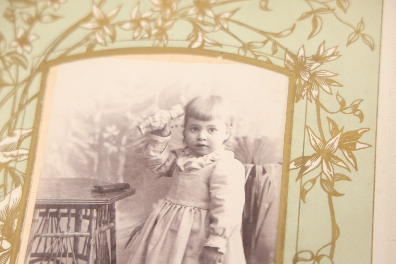 Lot 011 - Antique Victorian Photo Album With Yellow Velvet Cover, Celluloid Shell Decoration With Crab, Containing 28 Cabinet Card And Twelve C.D.V. Photographs, Including Co-Ed Class Photo, Little Girl Holding Bisque Doll, Note Binding Completely Shot