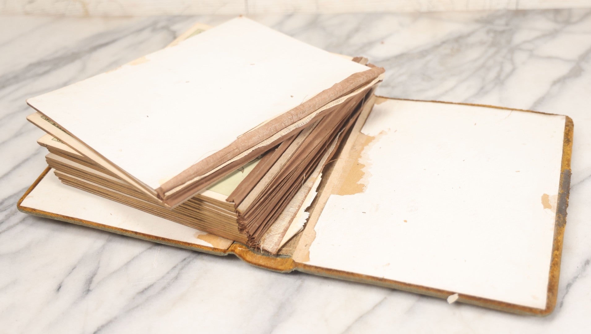 Lot 011 - Antique Victorian Photo Album With Yellow Velvet Cover, Celluloid Shell Decoration With Crab, Containing 28 Cabinet Card And Twelve C.D.V. Photographs, Including Co-Ed Class Photo, Little Girl Holding Bisque Doll, Note Binding Completely Shot