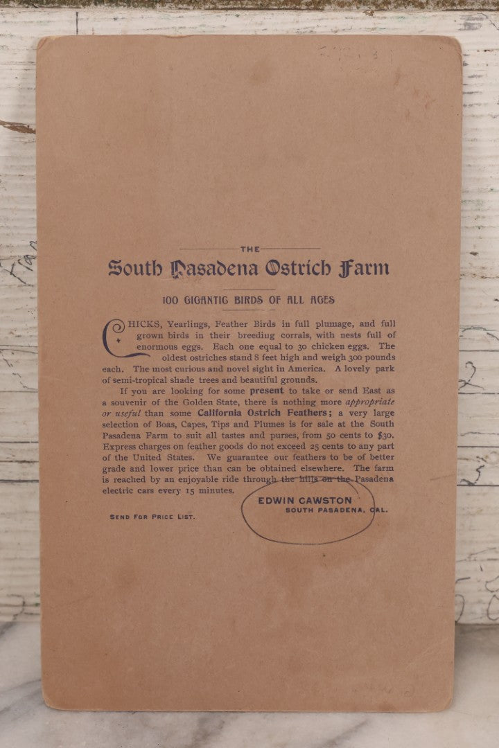 Lot 082 - Large Size Antique Cabinet Card Photograph Of Group Of Ostriches From South Pasadena Ostrich Farm, "One Hundred Gigantic Birds Of All Ages," Edwin Cawston, South Pasadena, California