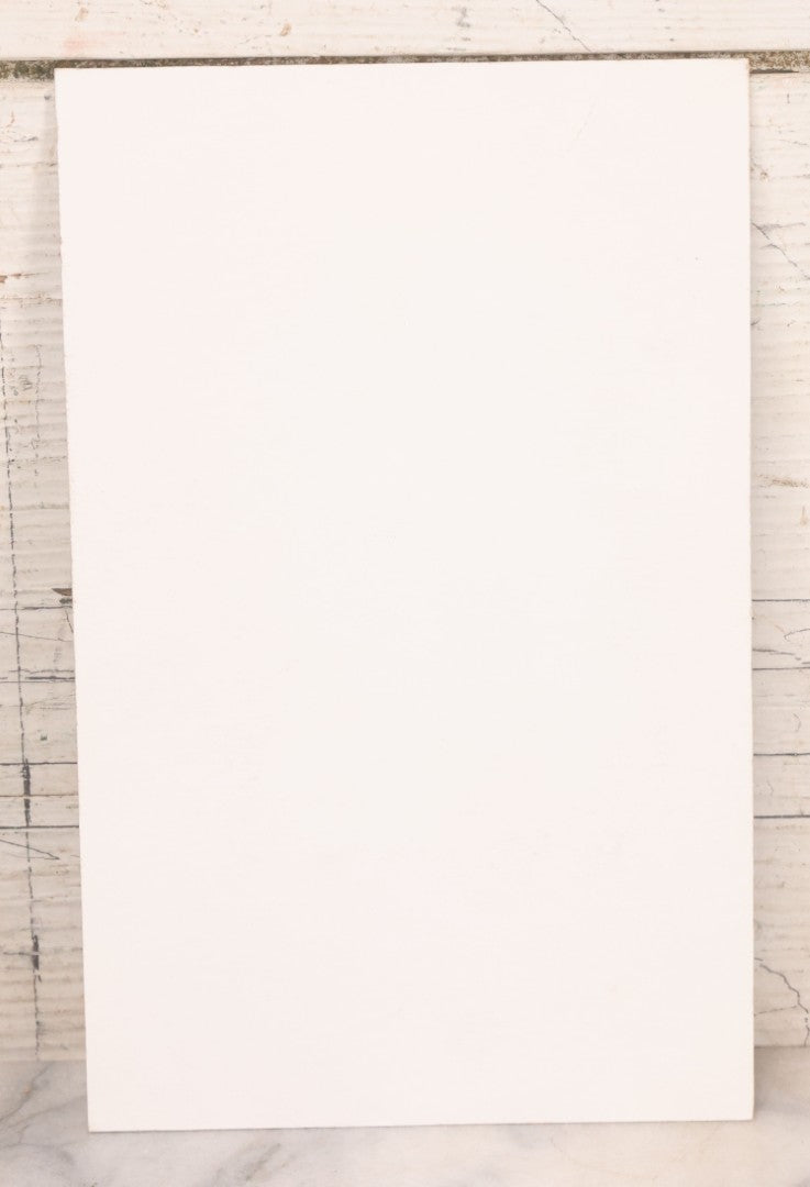 Lot 089 - Vintage Photograph Print Of Rose Rosenfeld Freedman, The Last Known Survivor Of The Triangle Shirtwaist Fire, Mounted To Modern Pressboard