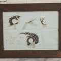 Lot 002 - Antique Victorian Hair Memento Scrap Page With Four Pieces Of Hair Work And Identification Legend, Hair Of Thankful, Josiah, And Ogden Hall, In Frame, 9-3/4" x 7-1/2"