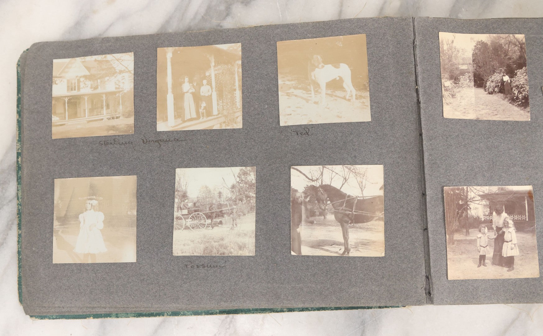 Lot 003 - Antique Snapshot Photo Album Belonging To Mary Eleanor Hill, Containing Photographs Taken In And Around "Brier Crest" In Villanova, Pennsylvania And "Eagle's Nest" In Grovetown, Georgia, With Over 300 Photographs, Including Women In Catacombs