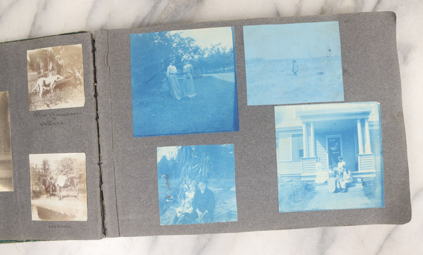 Lot 003 - Antique Snapshot Photo Album Belonging To Mary Eleanor Hill, Containing Photographs Taken In And Around "Brier Crest" In Villanova, Pennsylvania And "Eagle's Nest" In Grovetown, Georgia, With Over 300 Photographs, Including Women In Catacombs