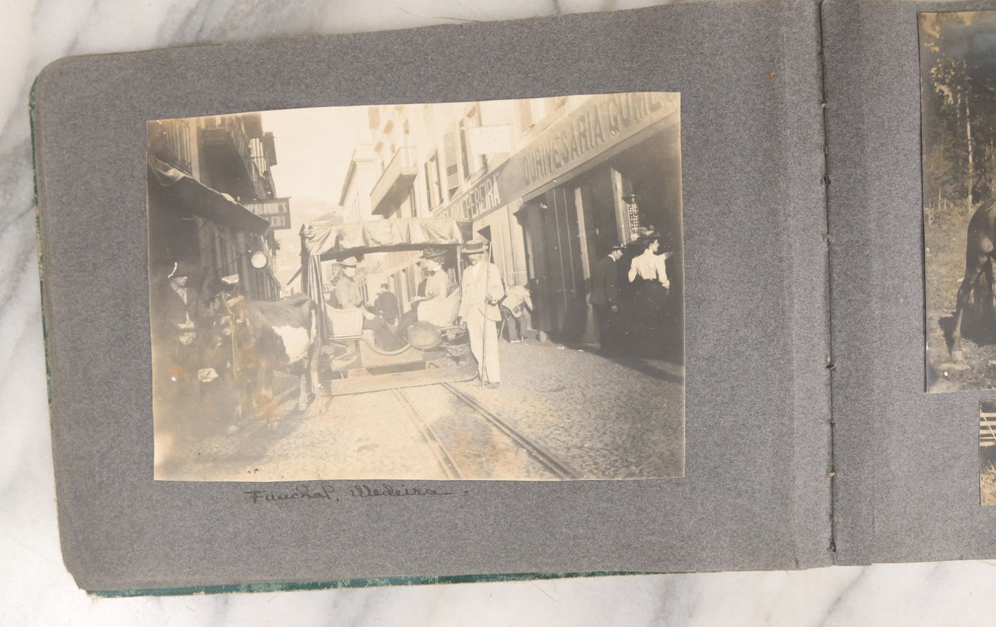 Lot 003 - Antique Snapshot Photo Album Belonging To Mary Eleanor Hill, Containing Photographs Taken In And Around "Brier Crest" In Villanova, Pennsylvania And "Eagle's Nest" In Grovetown, Georgia, With Over 300 Photographs, Including Women In Catacombs