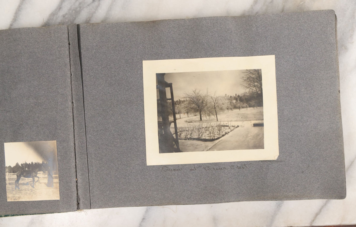 Lot 003 - Antique Snapshot Photo Album Belonging To Mary Eleanor Hill, Containing Photographs Taken In And Around "Brier Crest" In Villanova, Pennsylvania And "Eagle's Nest" In Grovetown, Georgia, With Over 300 Photographs, Including Women In Catacombs