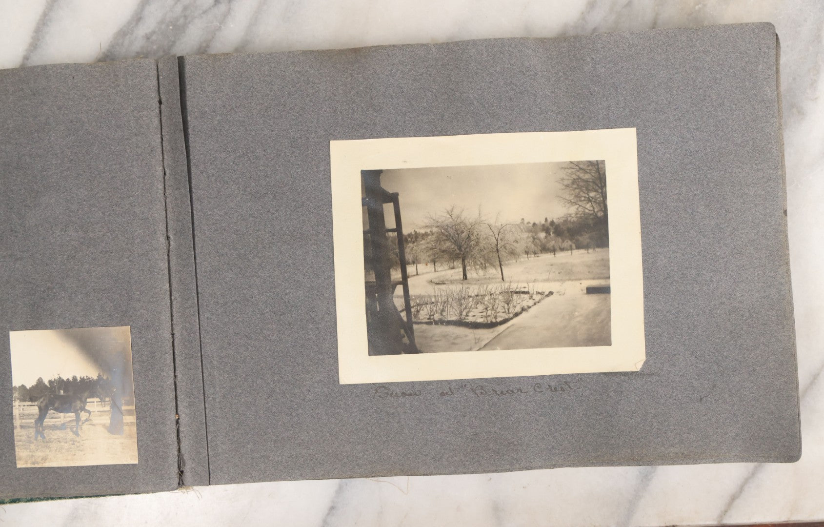 Lot 003 - Antique Snapshot Photo Album Belonging To Mary Eleanor Hill, Containing Photographs Taken In And Around "Brier Crest" In Villanova, Pennsylvania And "Eagle's Nest" In Grovetown, Georgia, With Over 300 Photographs, Including Women In Catacombs