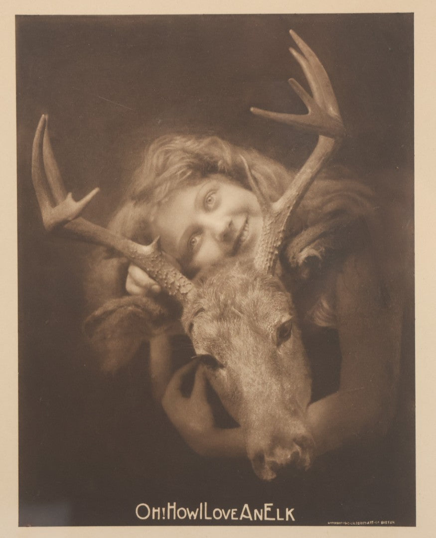 Lot 022 - Antique Comic Photographic Print Of Blissful Woman Hugging A Young Elk, "Oh! How I Love An Elk," Copyright 1907, Celebrity Art Co., Boston, 12-3/4" x 14-3/4"