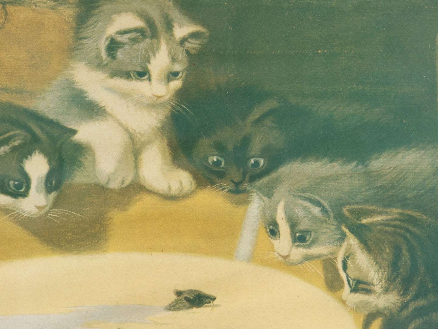 Lot 023 - Antique Color Magazine Print Of Six Kittens Watching A Mouse Swim Through Milk, As Found In Frame, Originally Appeared In The Chicago Tribune, 1901, 18-3/4" x 15-5/8"