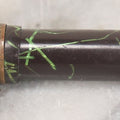 Lot 035 - Vintage Black Fountain Pen With Green Foil Strand Decoration, Manufactured By Wearever Pen Company, With Original Cap, Untested