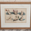 Lot 044 - Antique Hand Colored French Stipple Engraved Print, "Studies Of Feet," Engraved By Gabriel, Paris, Circa Early Nineteenth Century, 18-1/4" x 15"