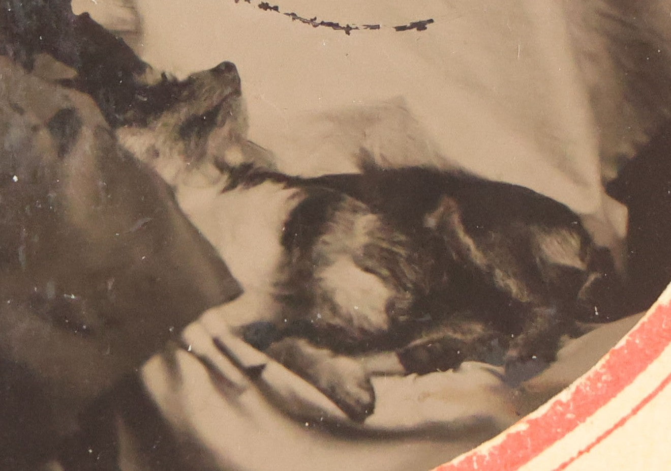 Lot 063 - Antique Tintype Photograph Of Little Girl Posing With Large Doll And Scraggly Little Dog, Photo In Landscape Orientation, In Paper Frame