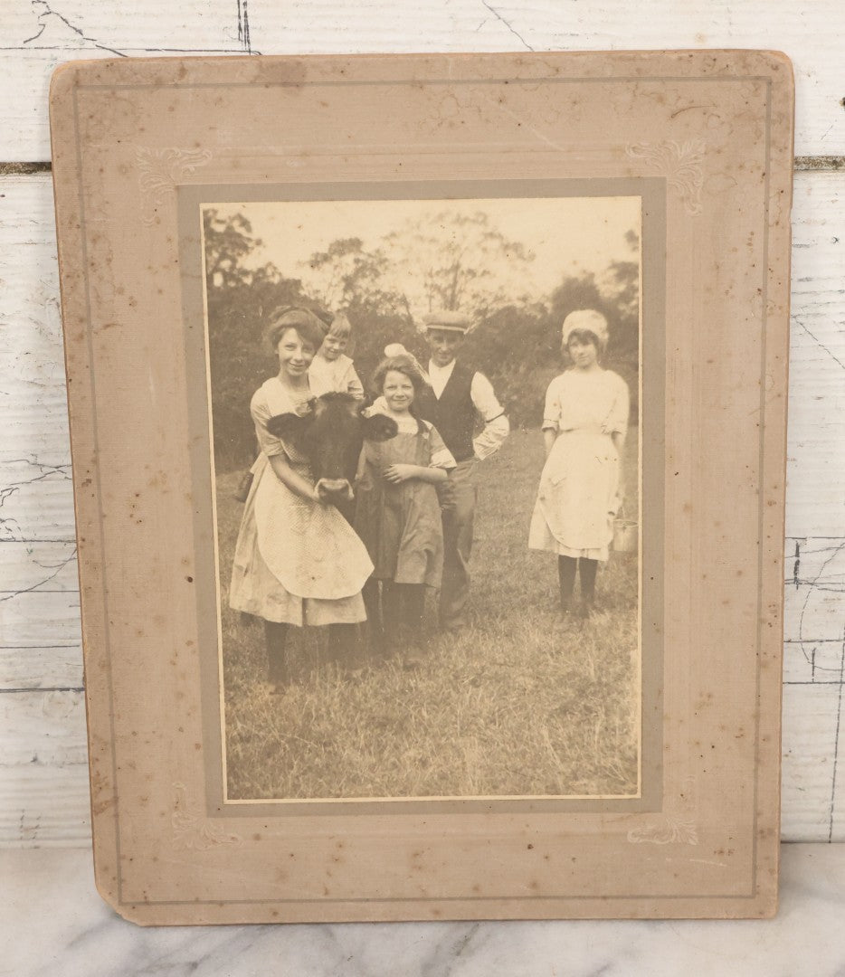 Lot 065 - Grouping Of Four Antique Boarded Photographs Of People And Animals Including Cat In Snow, Cow Being Hugged By Children, Fluffy Cat Photographed With Its Family, Black Horse