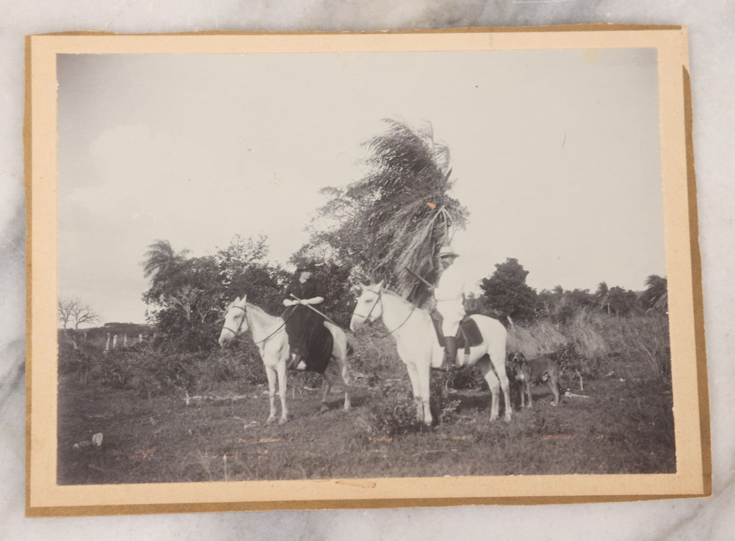 Lot 075 - Grouping Of Four Antique Boarded Photographs Of People And Horses, Including Horse Drawn Cart Crossing Primitive Bridge, Carriages Crossing Suspension Bridge, People On White Horses