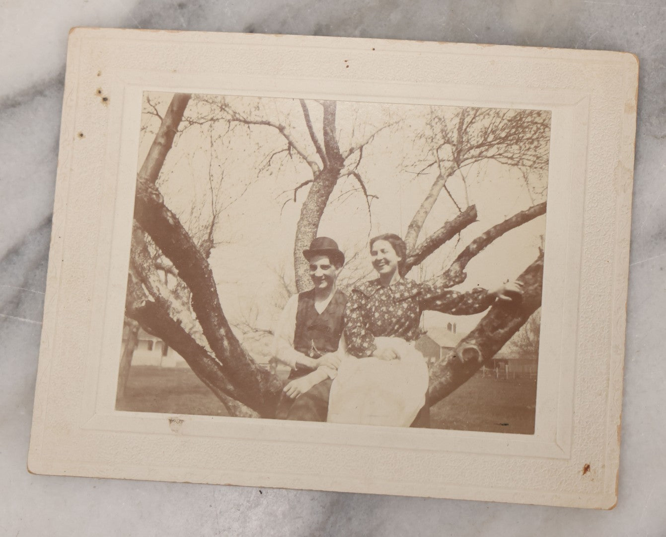 Lot 078 - Grouping Of Six Antique Boarded Outdoor Photographs Including Group In Car, Tent Decorated For Dinner Party, Couple Laughing In Tree, And Western Cabin
