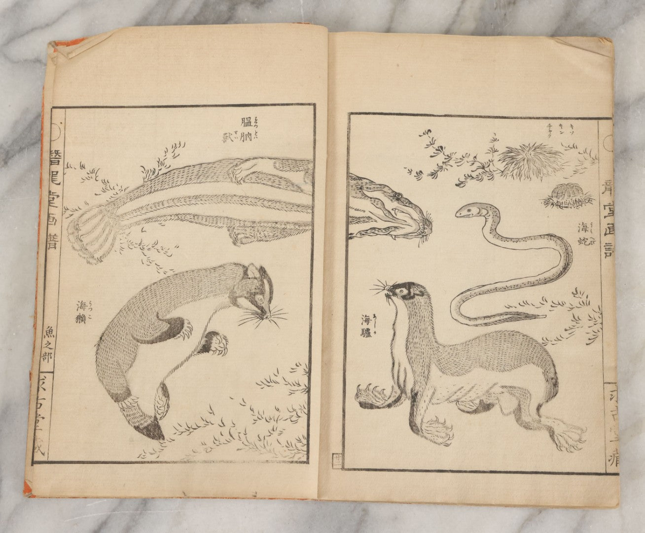 Lot 003 - Antique Japanese Meiji-Era Senryūdō Gafu Picture Manual Illustrated Album Of Fish And Sea Life, Ryutaku Kiyoshi Artist Or Compiler, Jikken-Dana, Edo/Tokyo, With Paper Cover, Hand Strung Binding, Circa 1880
