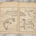 Lot 003 - Antique Japanese Meiji-Era Senryūdō Gafu Picture Manual Illustrated Album Of Fish And Sea Life, Ryutaku Kiyoshi Artist Or Compiler, Jikken-Dana, Edo/Tokyo, With Paper Cover, Hand Strung Binding, Circa 1880