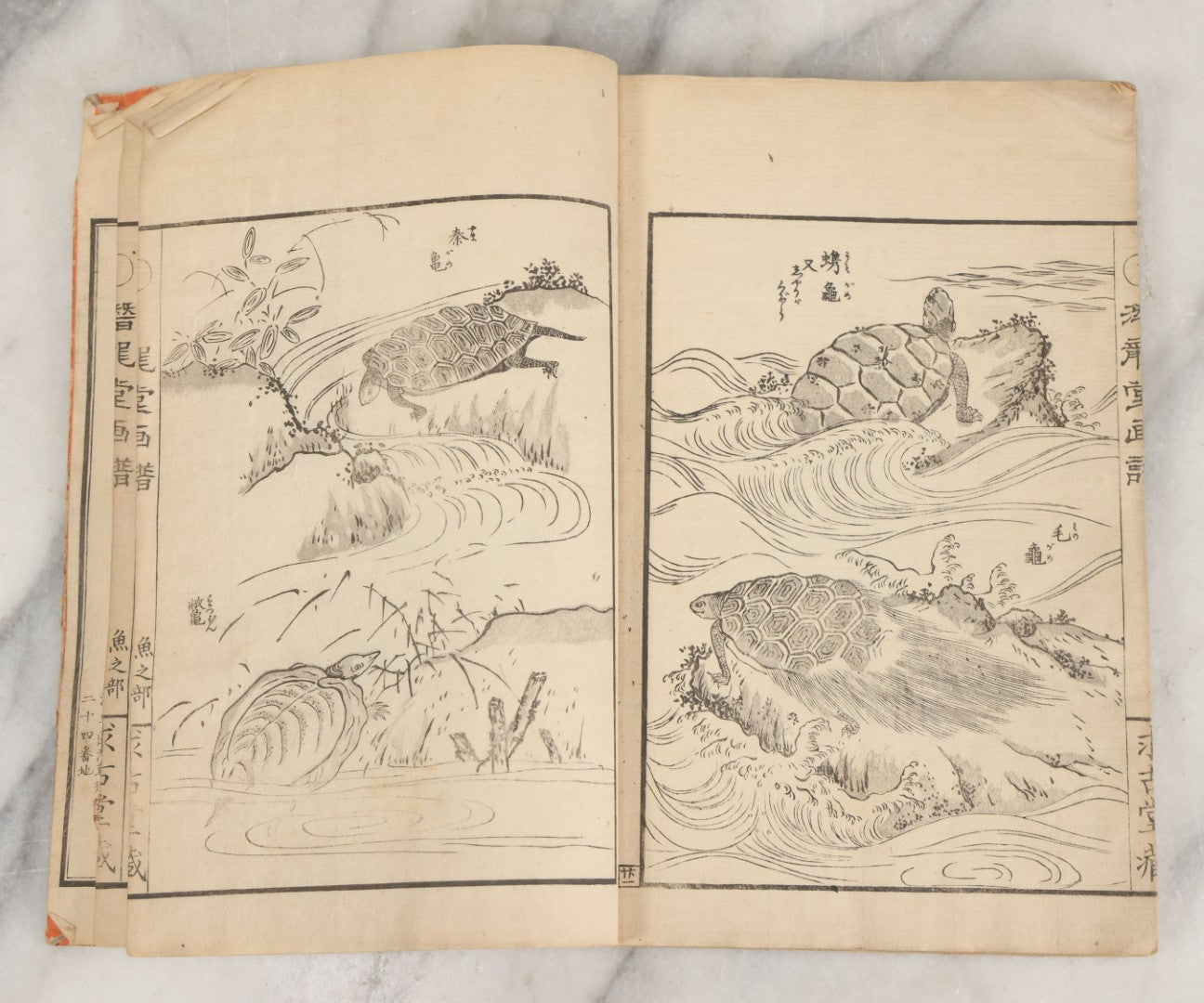 Lot 003 - Antique Japanese Meiji-Era Senryūdō Gafu Picture Manual Illustrated Album Of Fish And Sea Life, Ryutaku Kiyoshi Artist Or Compiler, Jikken-Dana, Edo/Tokyo, With Paper Cover, Hand Strung Binding, Circa 1880