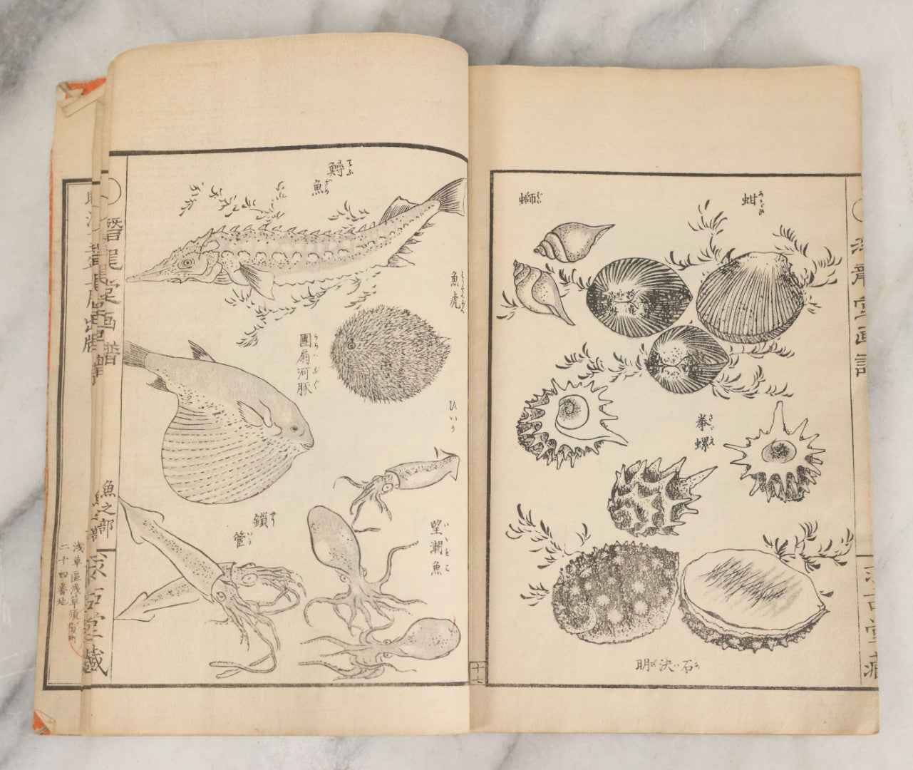 Lot 003 - Antique Japanese Meiji-Era Senryūdō Gafu Picture Manual Illustrated Album Of Fish And Sea Life, Ryutaku Kiyoshi Artist Or Compiler, Jikken-Dana, Edo/Tokyo, With Paper Cover, Hand Strung Binding, Circa 1880