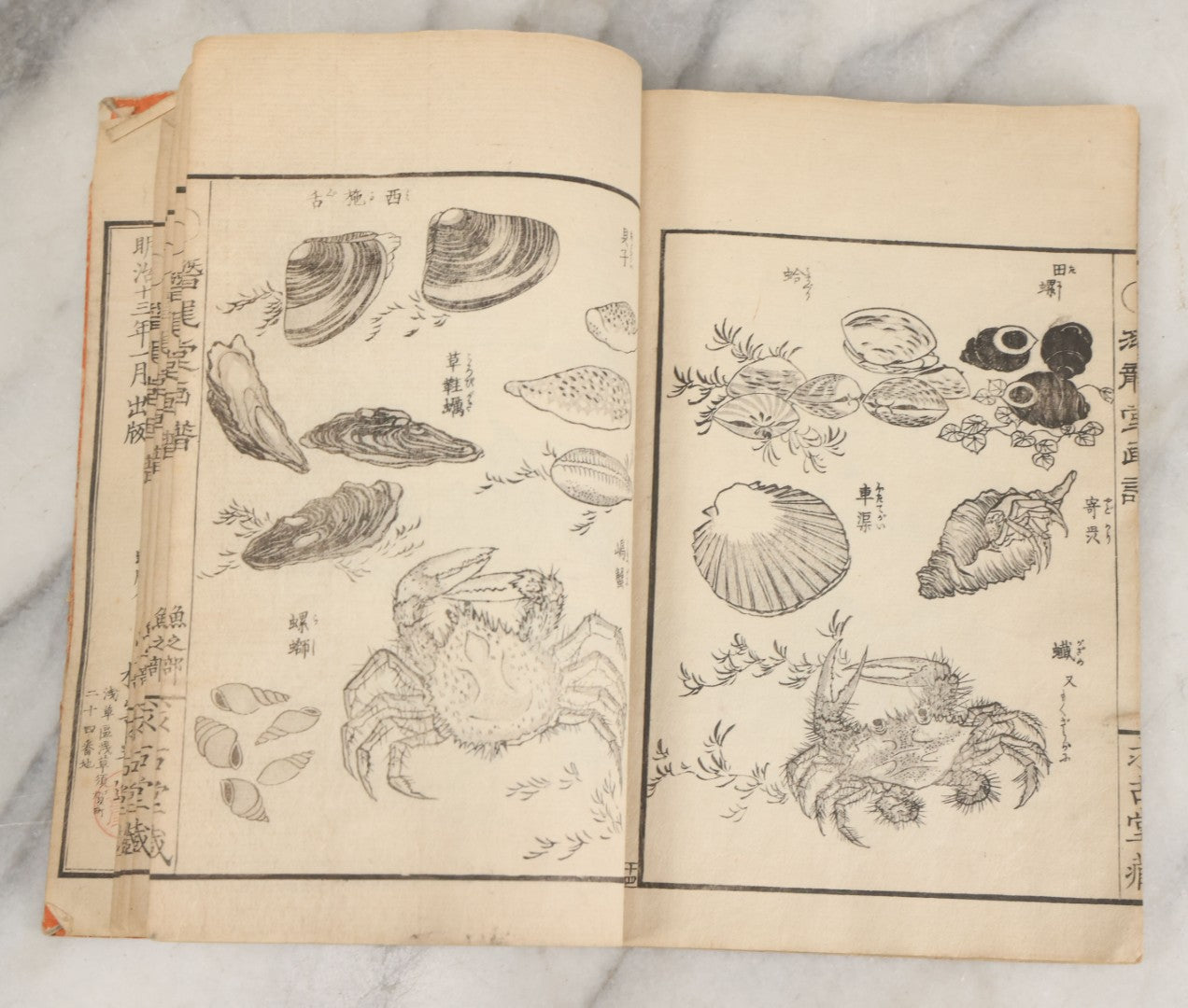 Lot 003 - Antique Japanese Meiji-Era Senryūdō Gafu Picture Manual Illustrated Album Of Fish And Sea Life, Ryutaku Kiyoshi Artist Or Compiler, Jikken-Dana, Edo/Tokyo, With Paper Cover, Hand Strung Binding, Circa 1880