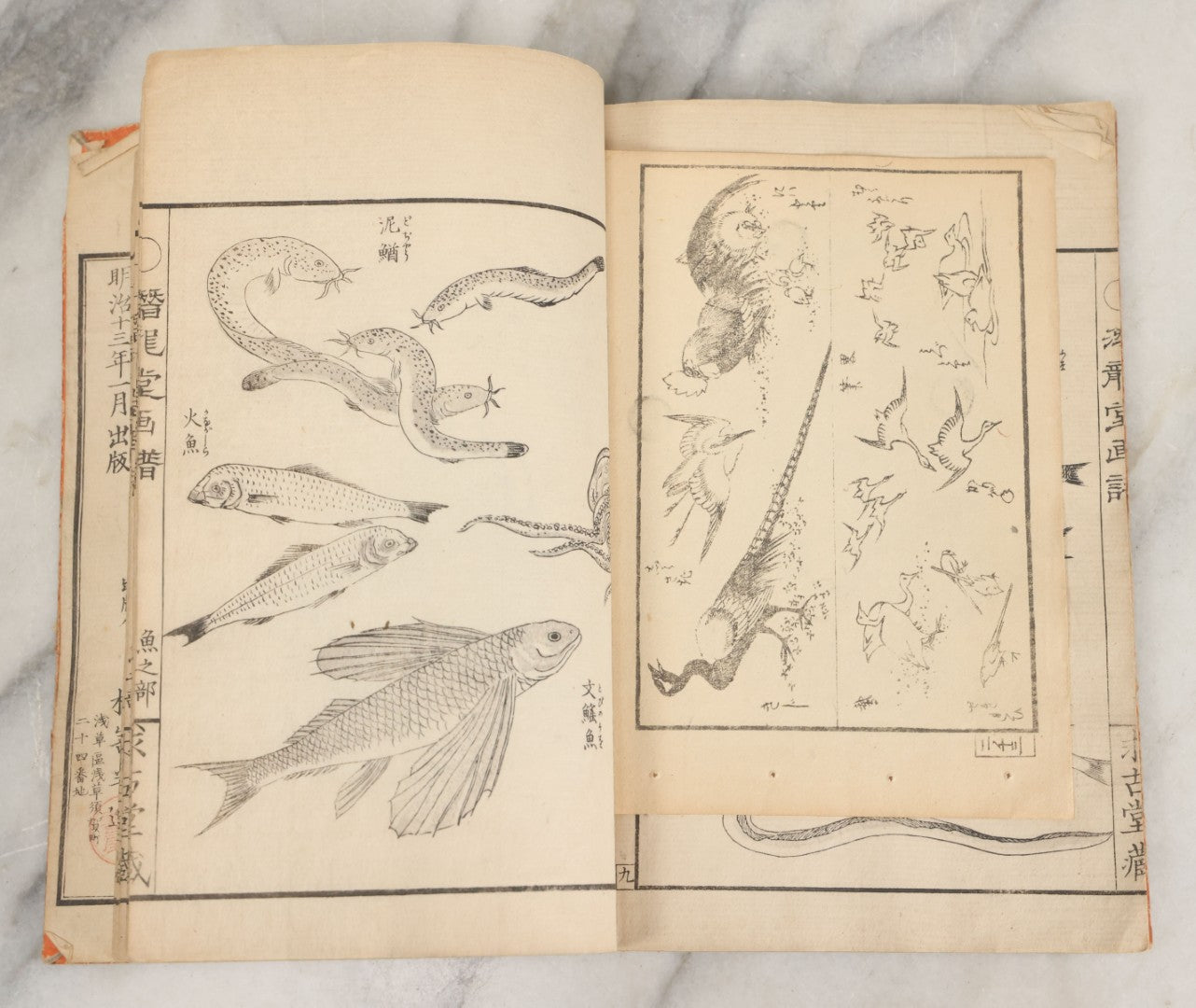 Lot 003 - Antique Japanese Meiji-Era Senryūdō Gafu Picture Manual Illustrated Album Of Fish And Sea Life, Ryutaku Kiyoshi Artist Or Compiler, Jikken-Dana, Edo/Tokyo, With Paper Cover, Hand Strung Binding, Circa 1880