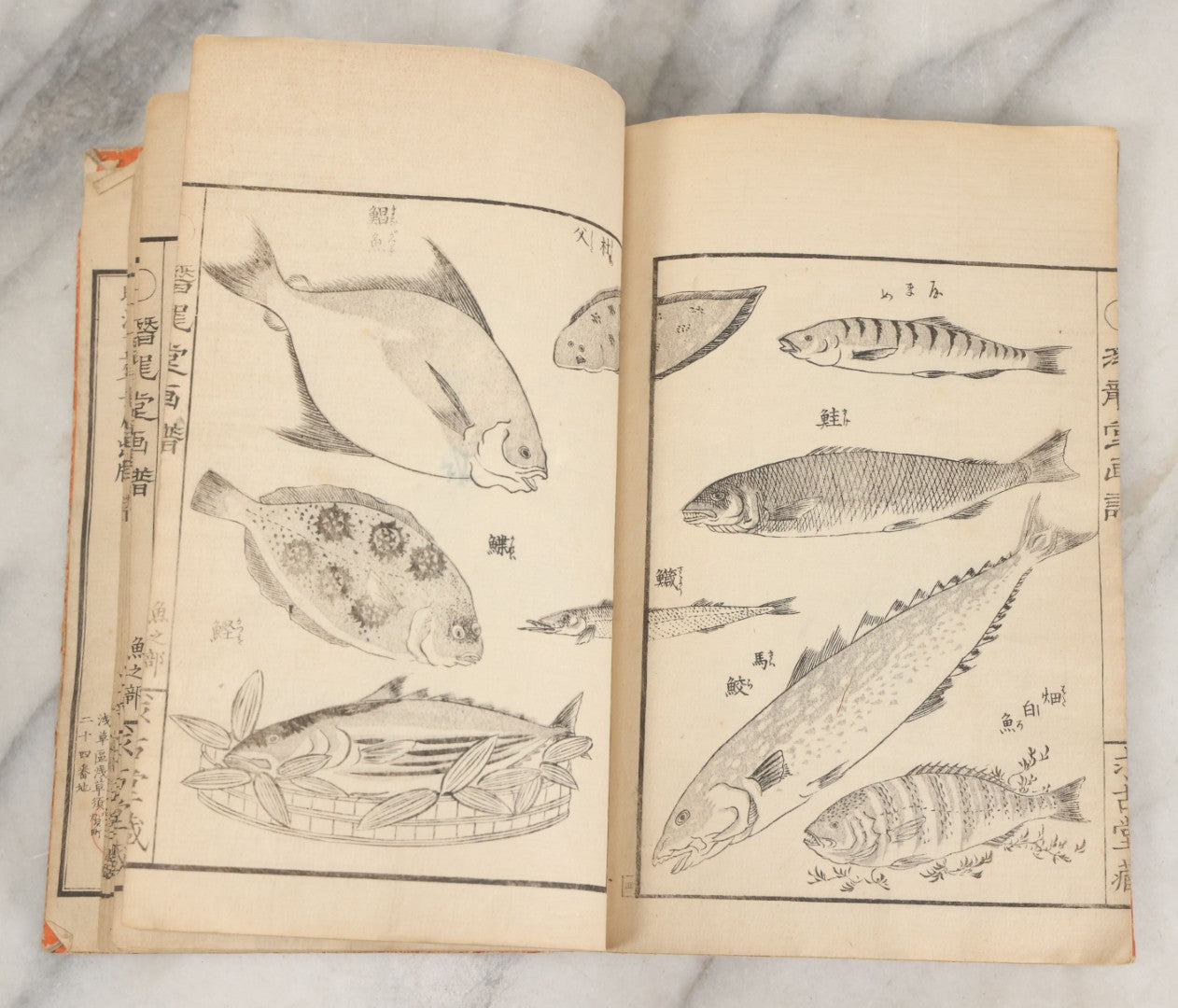 Lot 003 - Antique Japanese Meiji-Era Senryūdō Gafu Picture Manual Illustrated Album Of Fish And Sea Life, Ryutaku Kiyoshi Artist Or Compiler, Jikken-Dana, Edo/Tokyo, With Paper Cover, Hand Strung Binding, Circa 1880