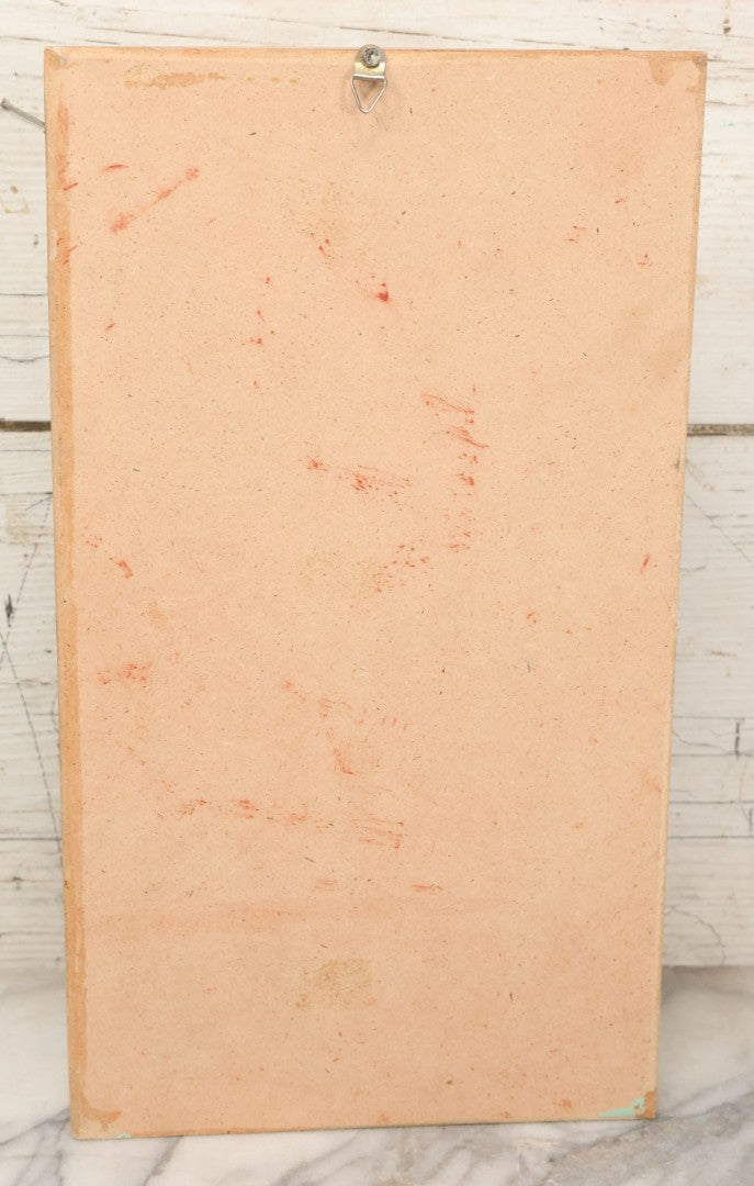 Lot 004 - Modern Shadow Box Taxidermy Insect And Bug Display With 19 Specimens Including Scorpion, Tarantula, Centipede, Moths, And Beetles, 7-7/8" x 14"